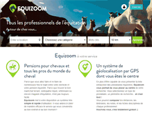 Tablet Screenshot of equizoom.com